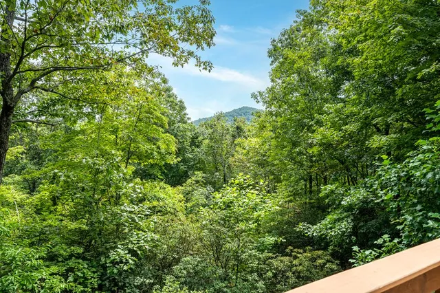 $739,000 | 476 Prince Mountain Road, Cherry Log, GA 30522