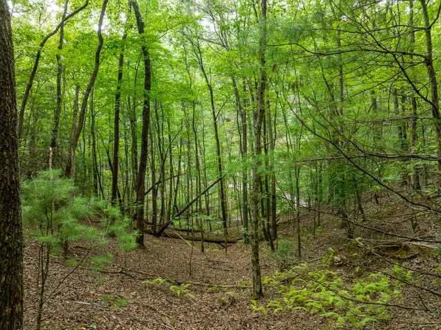 $739,000 | 476 Prince Mountain Road, Cherry Log, GA 30522