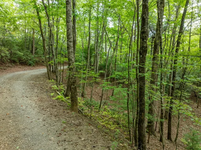 $739,000 | 476 Prince Mountain Road, Cherry Log, GA 30522