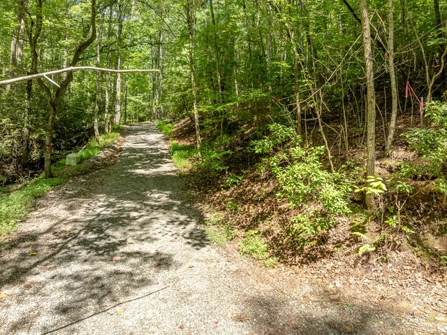 $739,000 | 476 Prince Mountain Road, Cherry Log, GA 30522