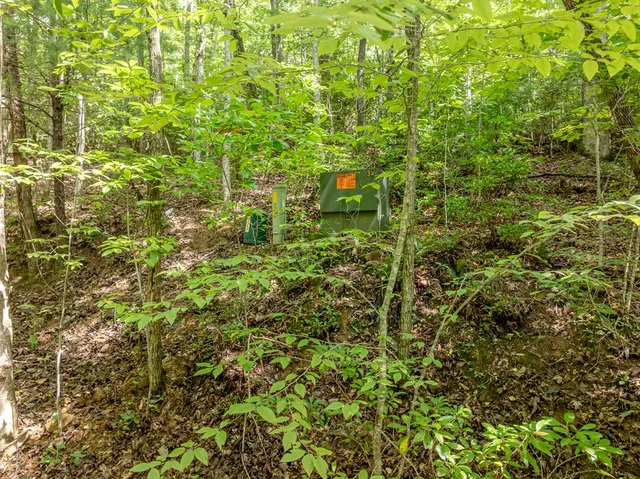 $739,000 | 476 Prince Mountain Road, Cherry Log, GA 30522