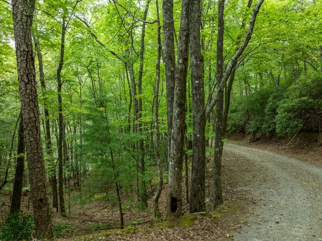 $739,000 | 476 Prince Mountain Road, Cherry Log, GA 30522