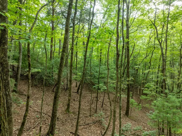 $739,000 | 476 Prince Mountain Road, Cherry Log, GA 30522