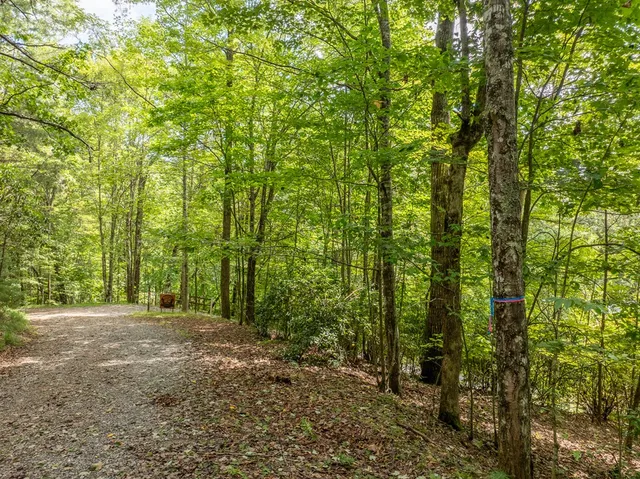 $739,000 | 476 Prince Mountain Road, Cherry Log, GA 30522