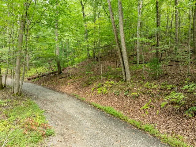 $739,000 | 476 Prince Mountain Road, Cherry Log, GA 30522