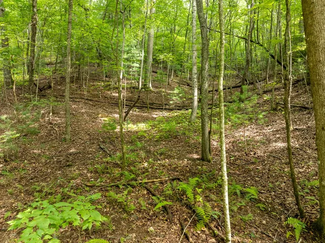 $739,000 | 476 Prince Mountain Road, Cherry Log, GA 30522