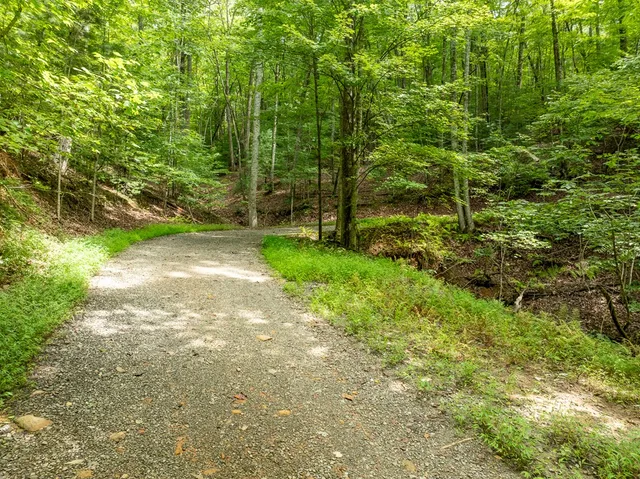 $739,000 | 476 Prince Mountain Road, Cherry Log, GA 30522