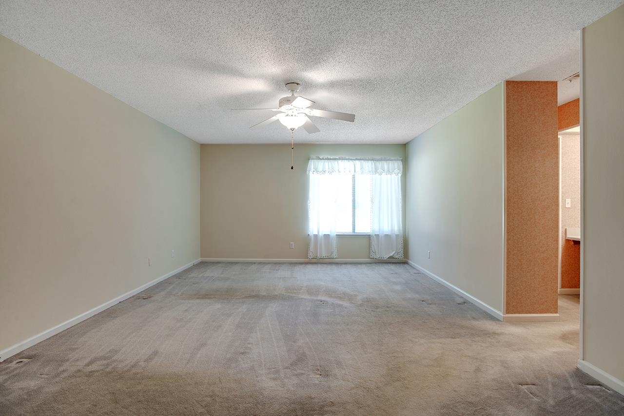 256 Timberlane Road Tallahassee, FL 32312 - Photo 10 of 27 Gallery Image 10