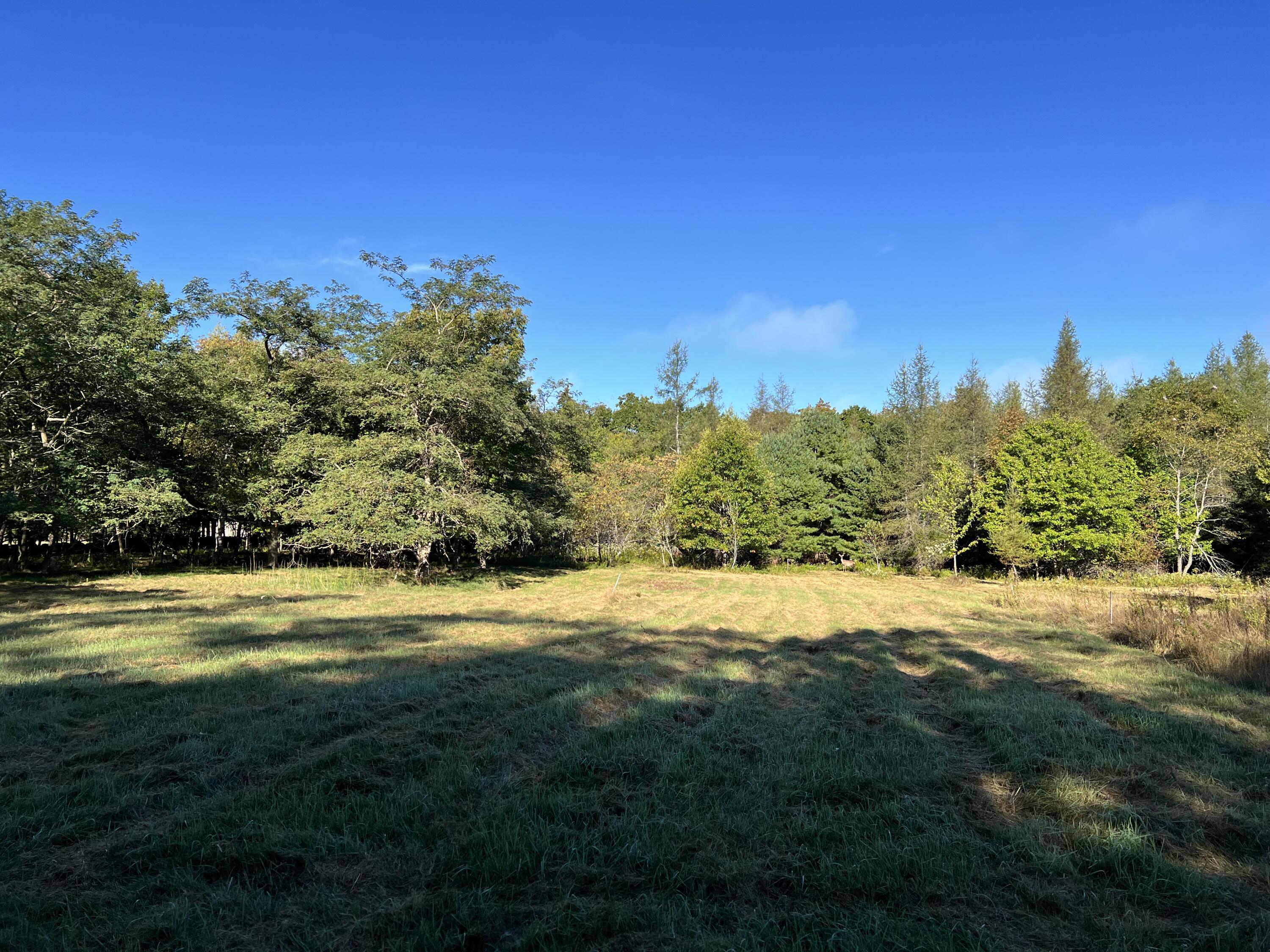 526 Castine Road Castine, ME 04421 - Photo 1 of 5 Lot in the morning sun