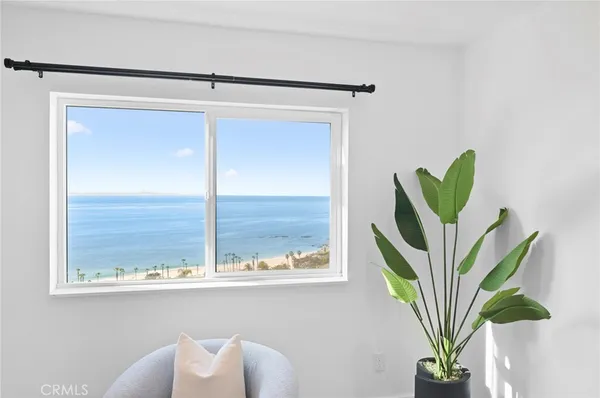 a view of a potted plant in a bathroom next to a window