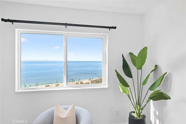 a view of a potted plant in a bathroom next to a window