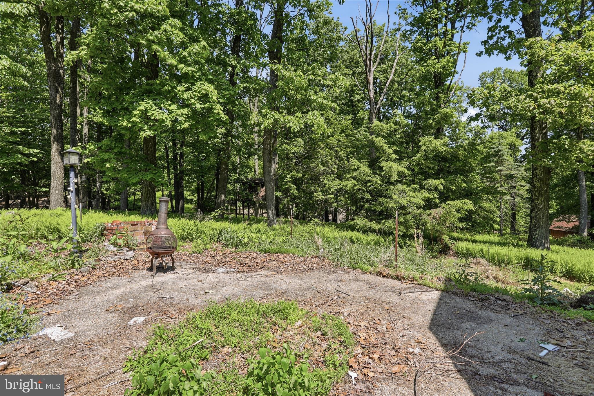 8209 Gambrill Park Road Frederick, MD 21702 - Photo 33 of 48