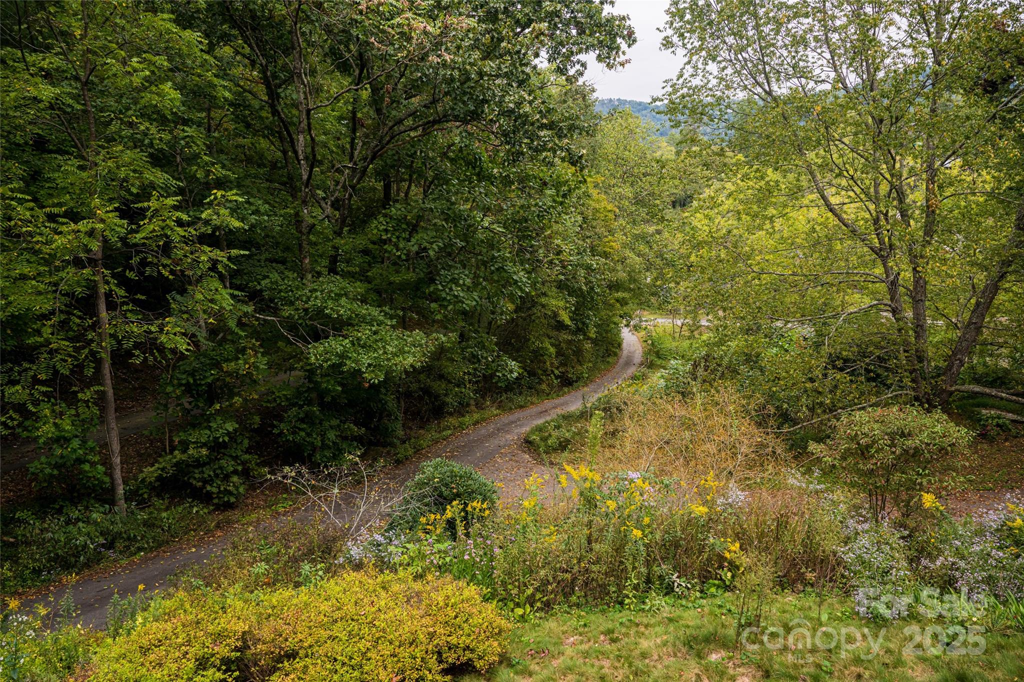 135 Spooks Branch Road Asheville, NC 28804 - Photo 34 of 38 Gallery Image 34