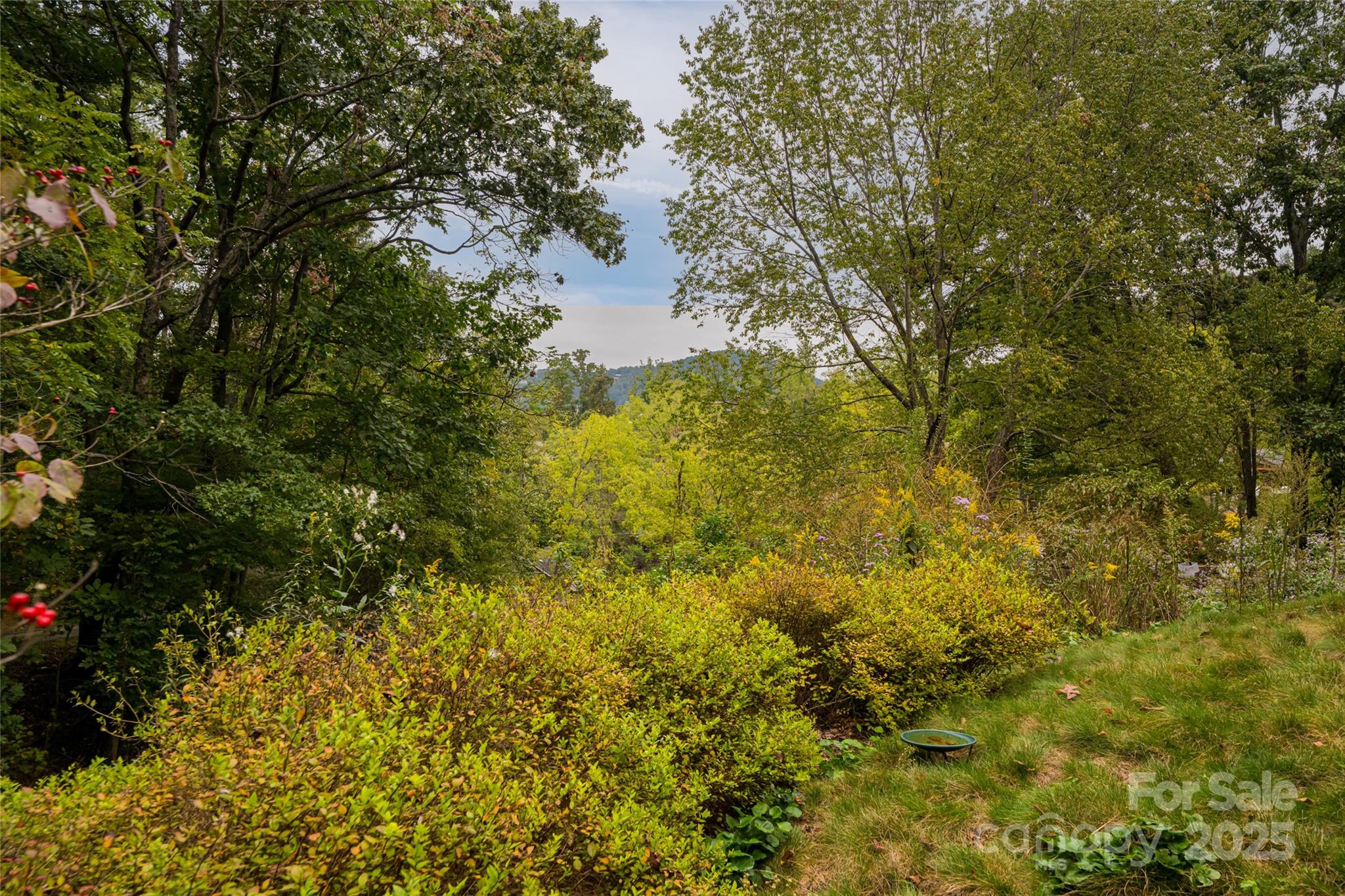 135 Spooks Branch Road Asheville, NC 28804 - Photo 36 of 38 Gallery Image 36