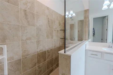a bathroom with a sink a mirror and a shower