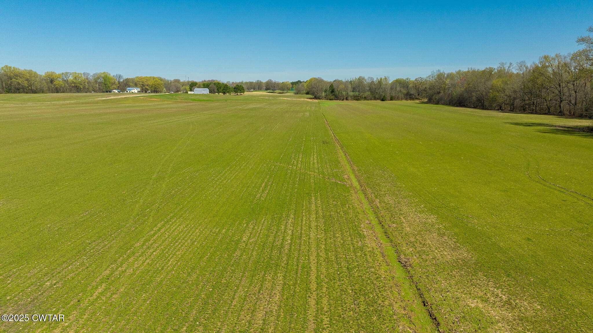 349 Bob Cox Road Sharon, TN 38255 - Photo 8 of 12 a view of an ocean from a yard