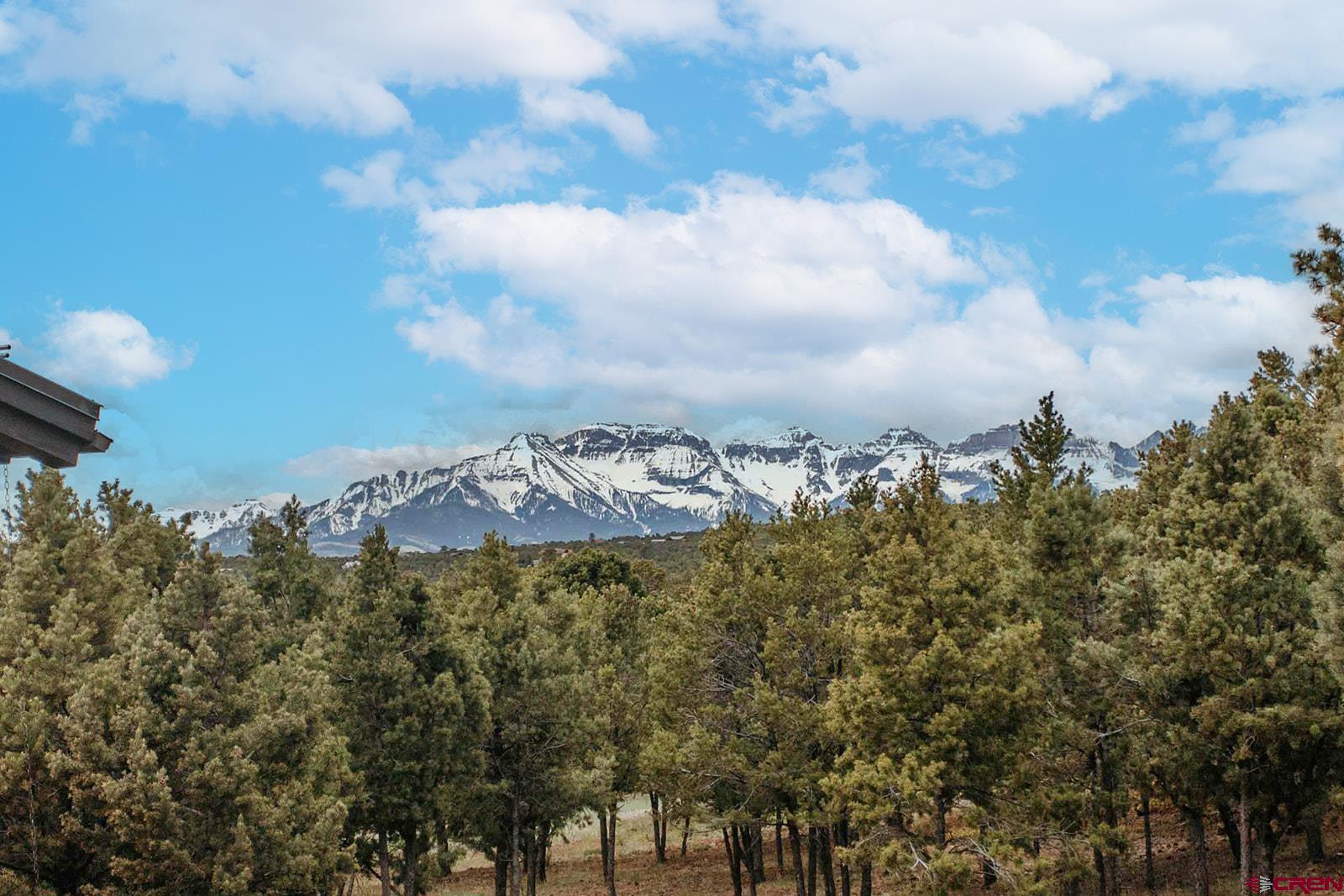 2118 Silverhorn Trail Ridgway, CO 81432 - Photo 6 of 35