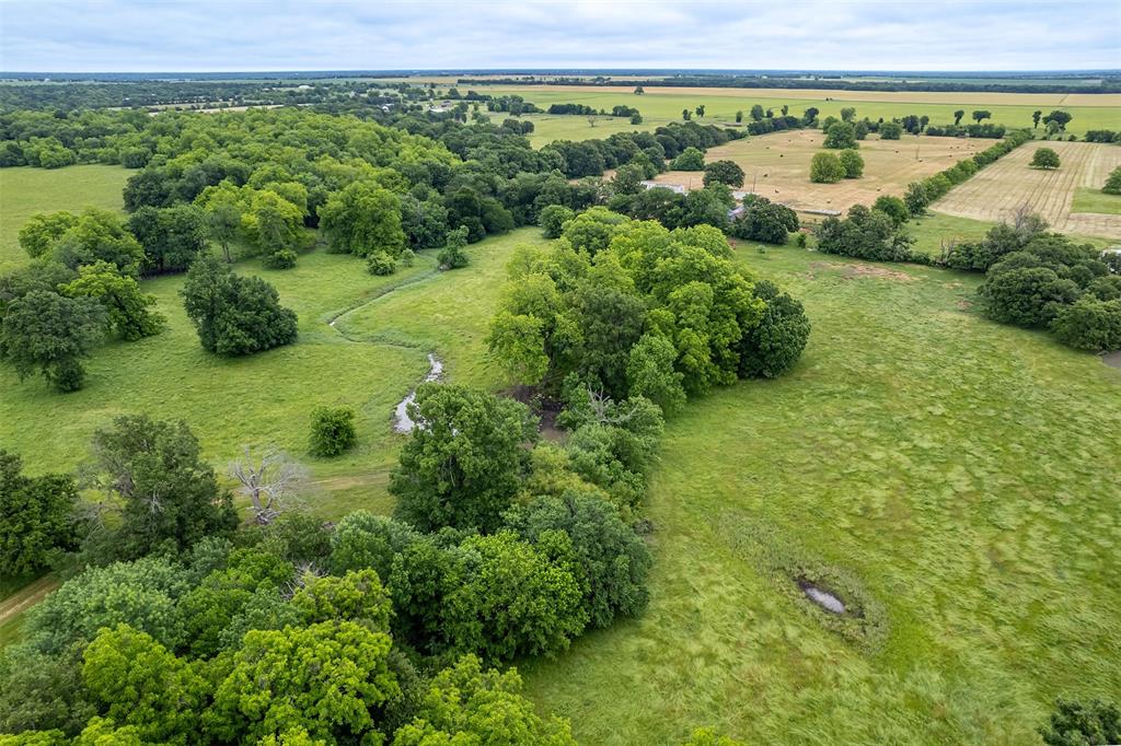 5286 County Road 4502 Commerce, TX 75428 - Photo 21 of 21 a view of a lush green forest with a lake and mountain view