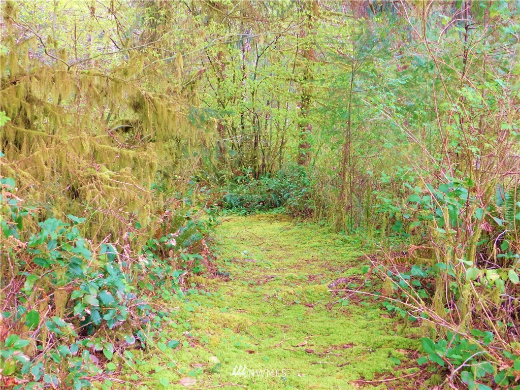 2565 East Hoquiam Road Hoquiam, WA 98550 - Photo 6 of 23 Gallery Image 6