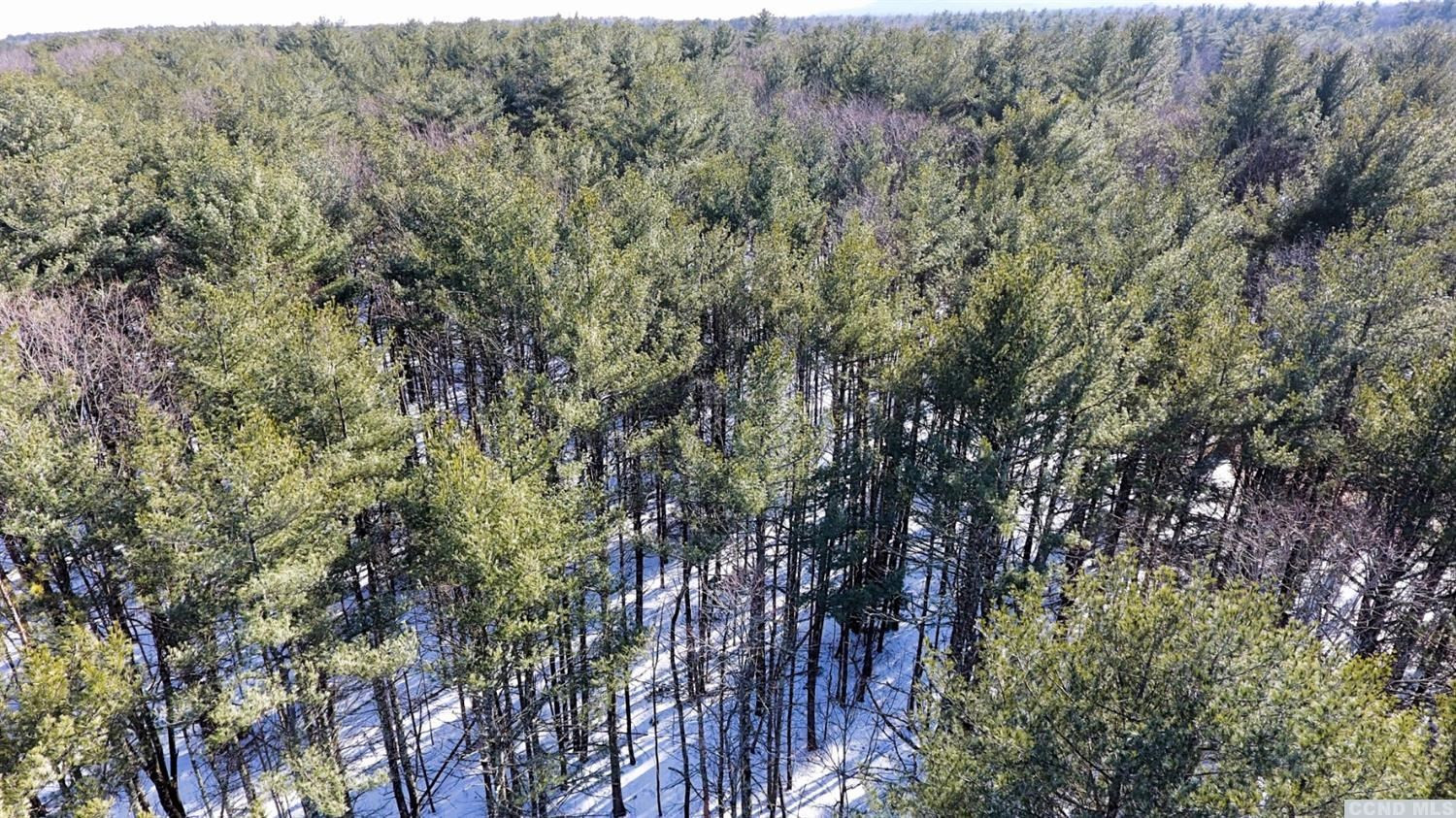 135 Kreig Road Cairo, NY 12413 - Photo 11 of 21 Photo 11