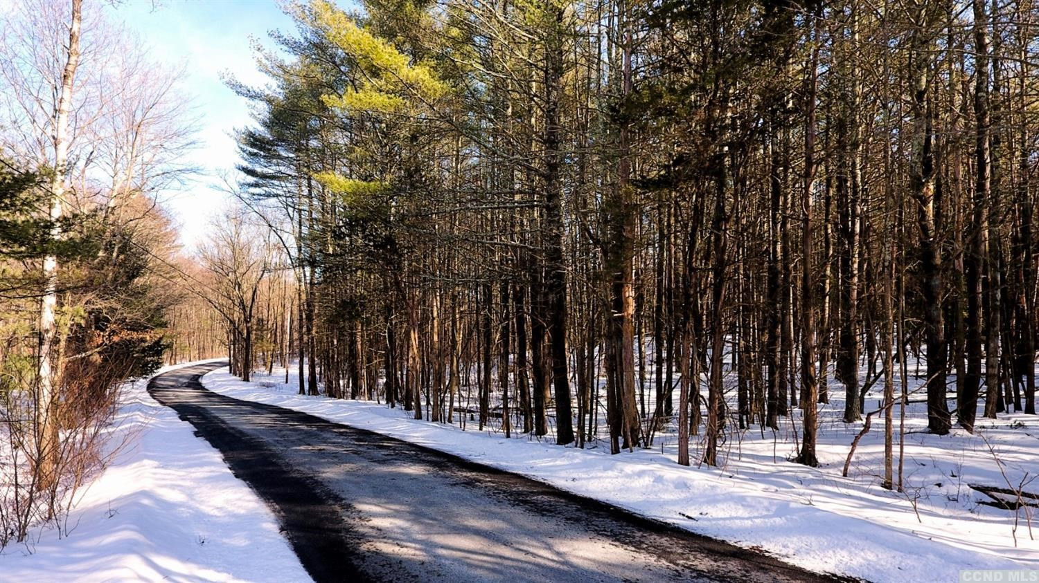 135 Kreig Road Cairo, NY 12413 - Photo 13 of 21 Photo 13
