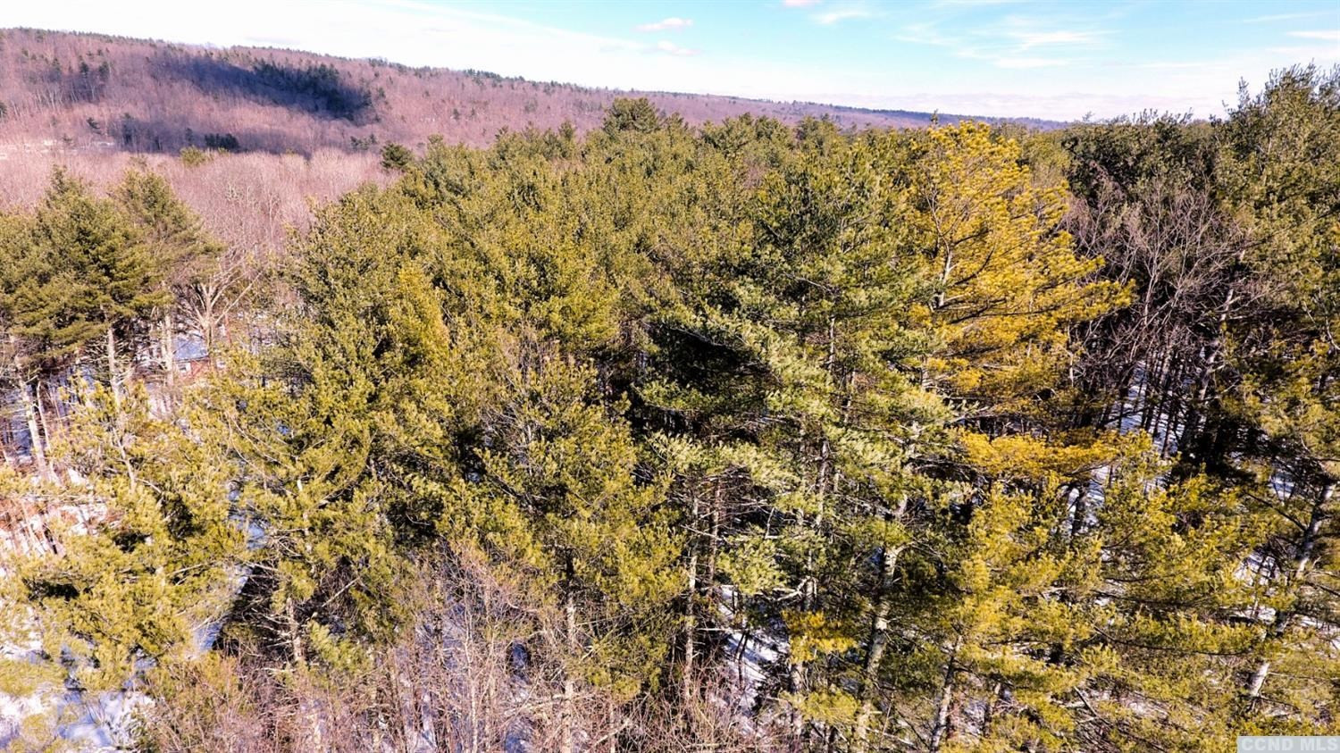 135 Kreig Road Cairo, NY 12413 - Photo 18 of 21 Photo 18