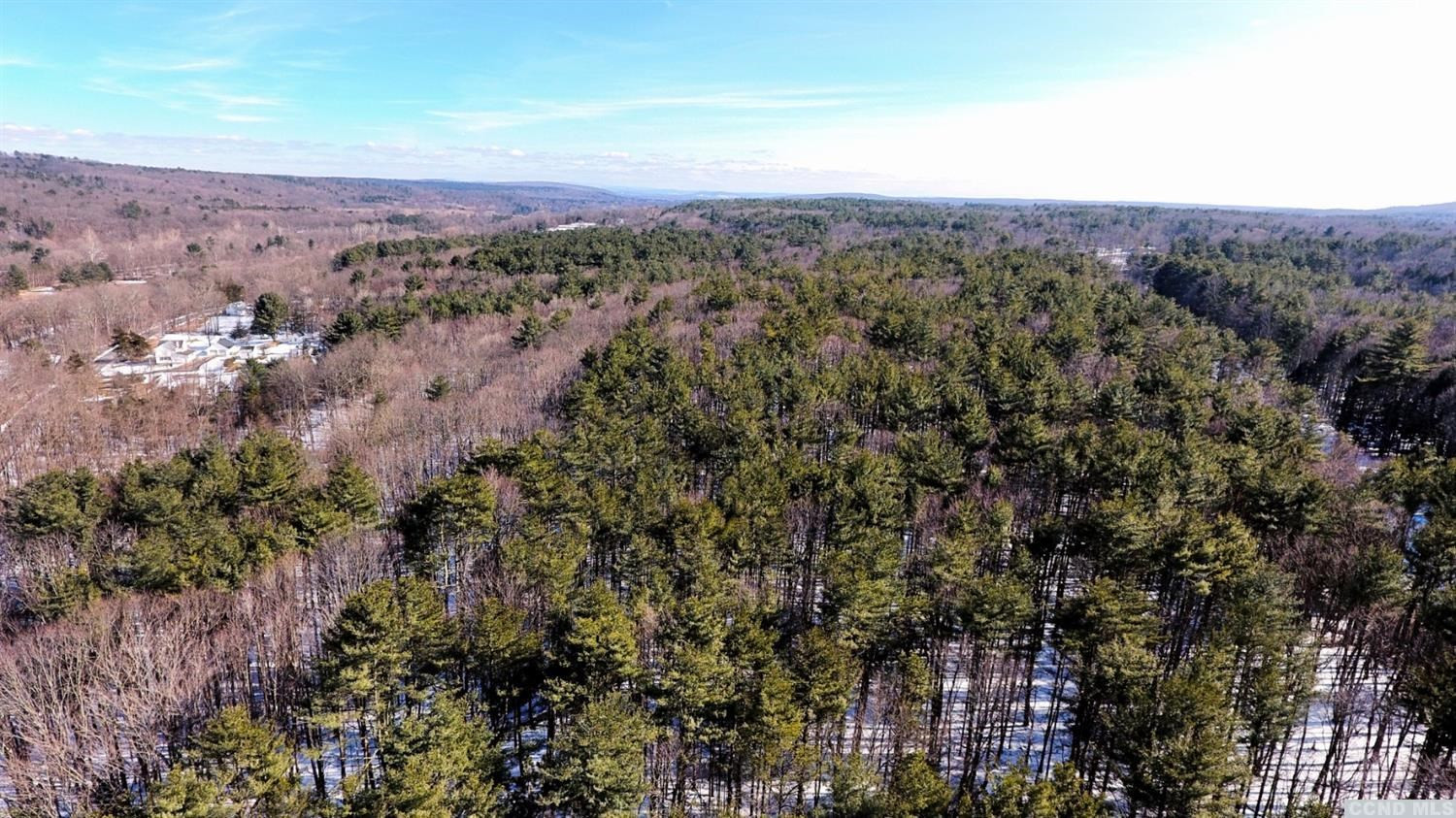 135 Kreig Road Cairo, NY 12413 - Photo 6 of 21 Photo 6