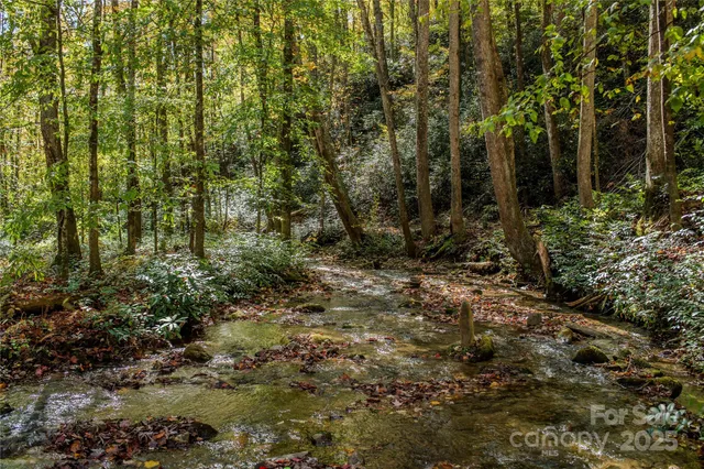 a garden view with a seating space