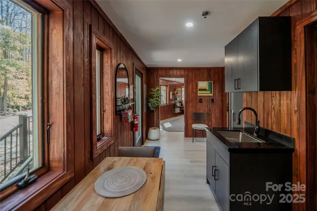 a view of a forest with lots of trees