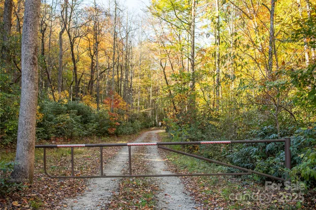 a view of a garden with a tree