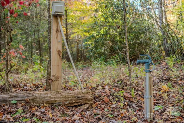 a view of outdoor space and yard