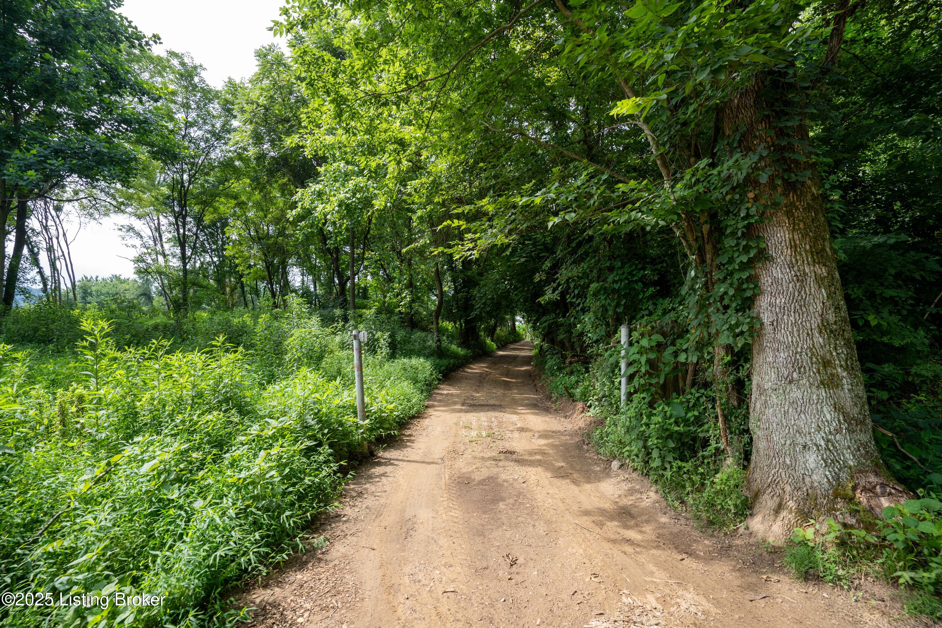 5601 Blevins Gap Road Louisville, KY 40272 - Photo 15 of 23 5601BlevinsGapRd-0016
