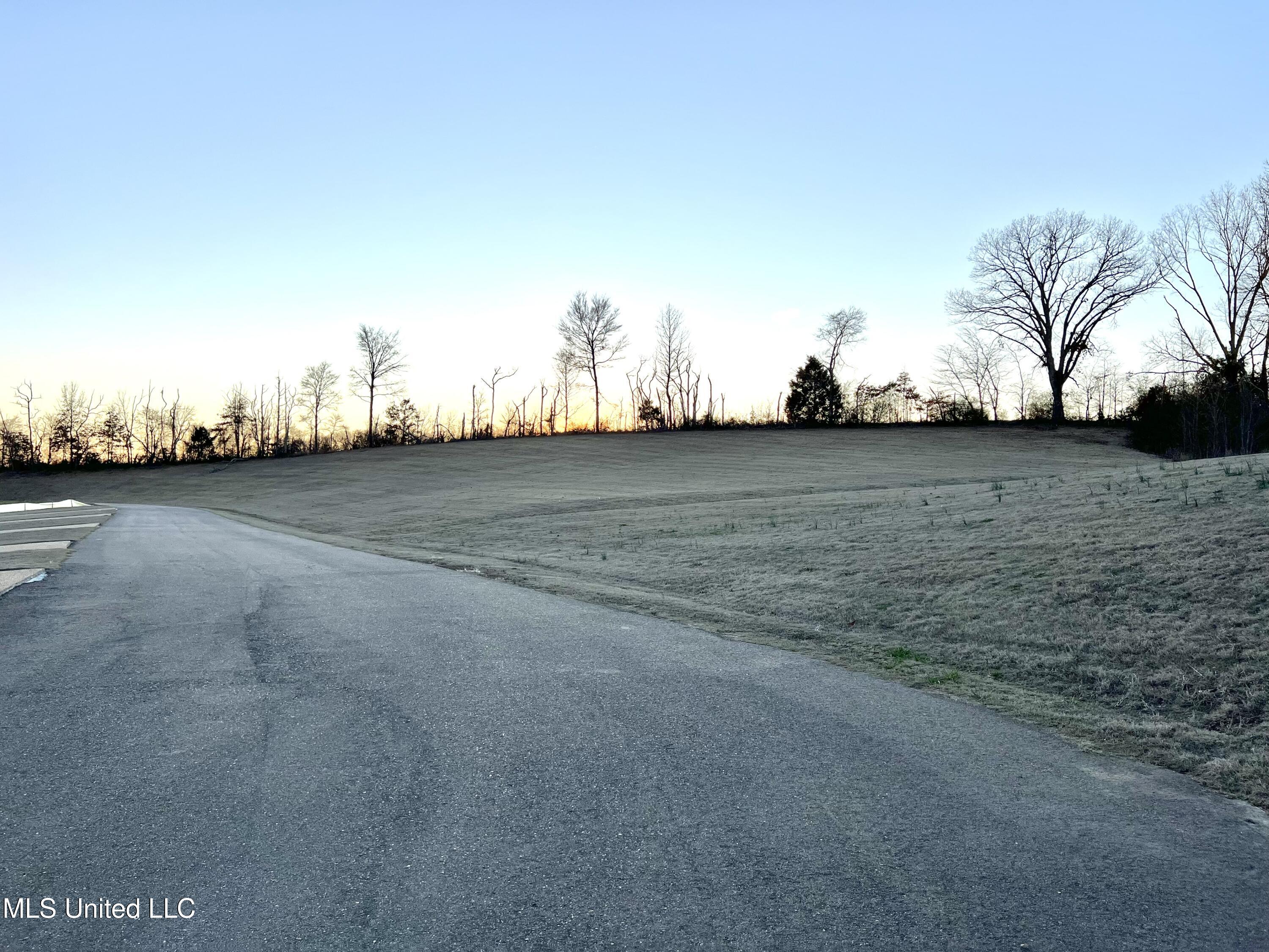 2201 Scott Mdws Lane Hernando, MS 38632 - Photo 30 of 30 IMG_5833