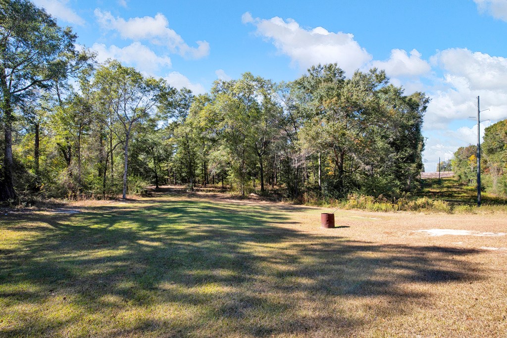975 Webb To Kinsey Road Webb, AL 36376 - Photo 12 of 56
