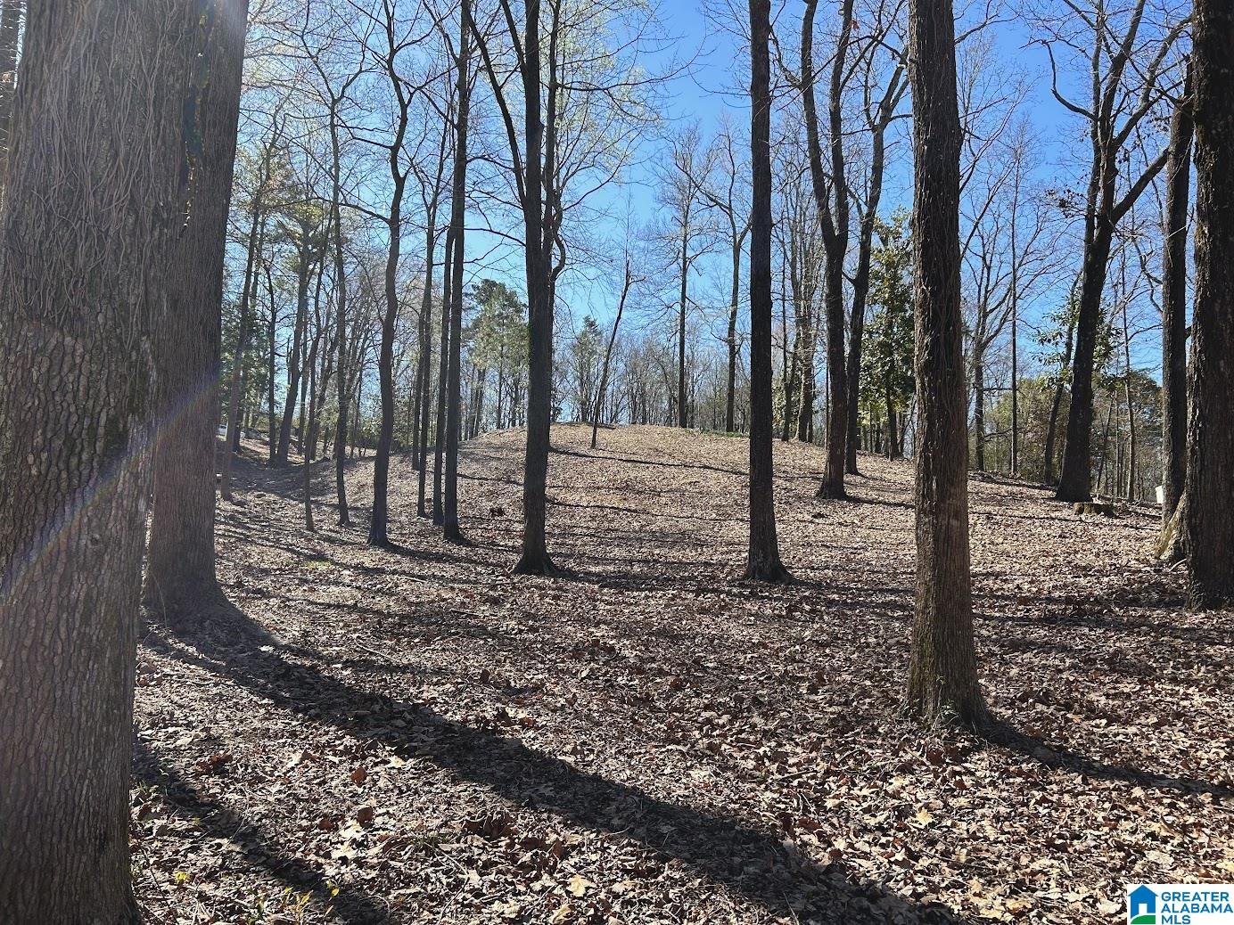 3300 Sherwood Road Birmingham, AL 35223 - Photo 9 of 16