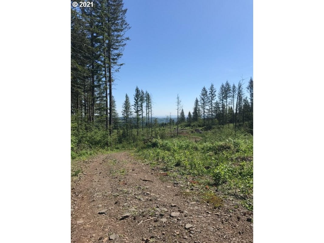 0 Northeast 94th Street Camas, WA 98607 - Photo 1 of 16