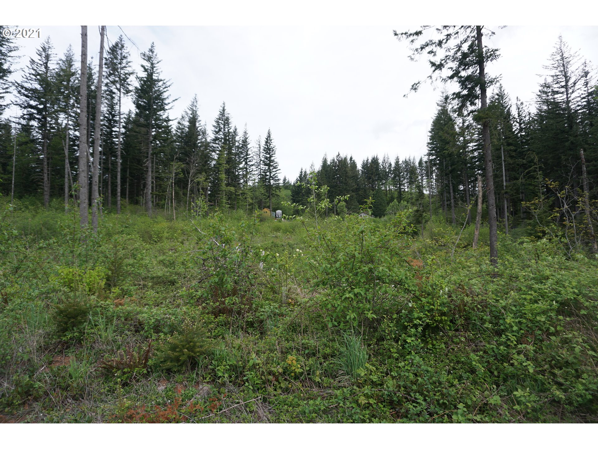 0 Northeast 94th Street Camas, WA 98607 - Photo 14 of 16