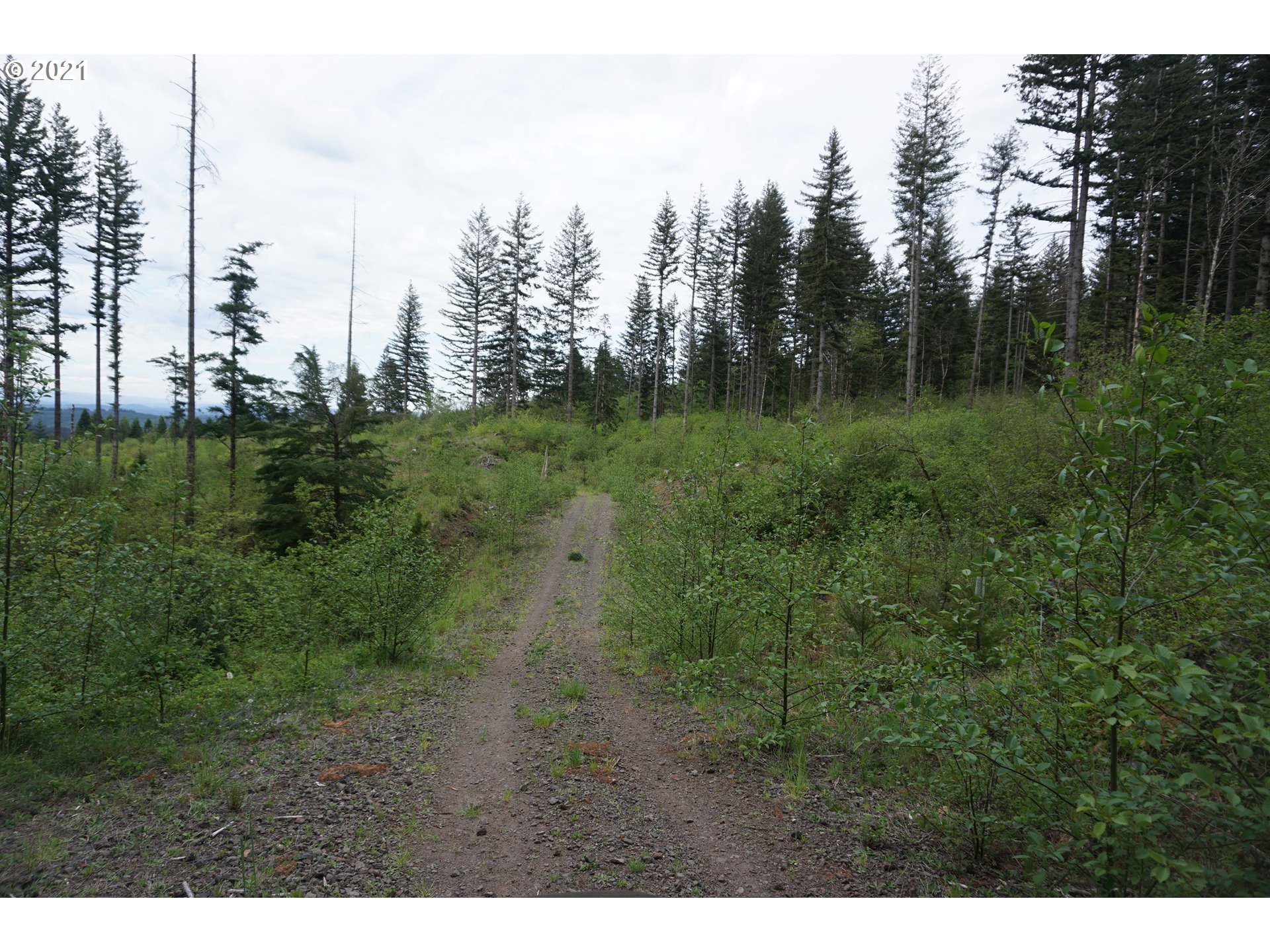 0 Northeast 94th Street Camas, WA 98607 - Photo 9 of 16