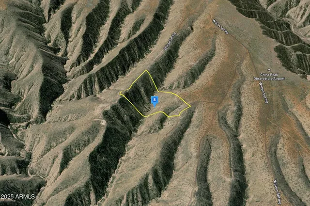 a close up of a tree