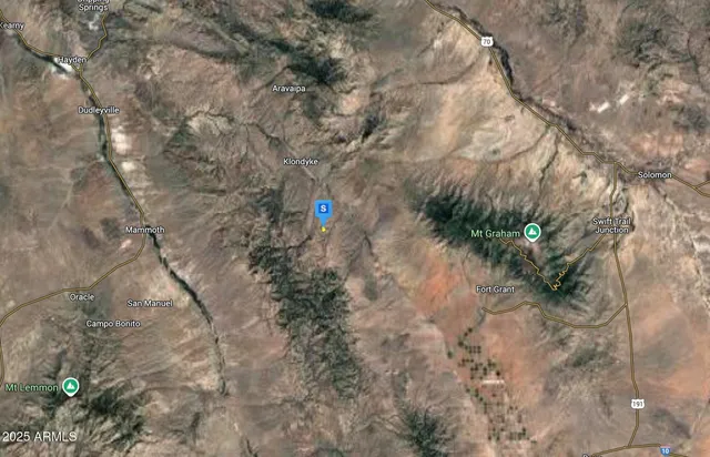 a close up of a plant