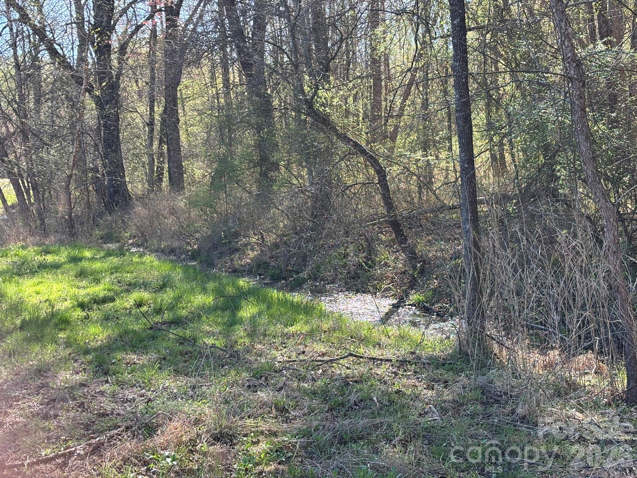 Lot #4 Prince Road Columbus, NC 28722 - Photo 5 of 21 Gallery Image 5