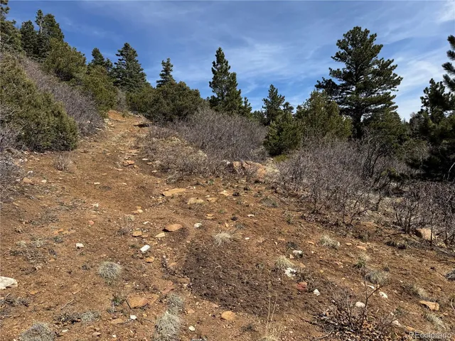a view of a covered with trees in the background