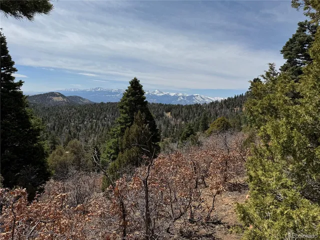 a view of a forest with a houses