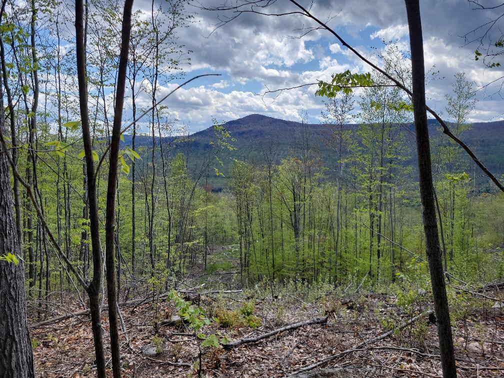 Lot 11 Swift River Road Byron, ME 04275 - Photo 1 of 72 Great View