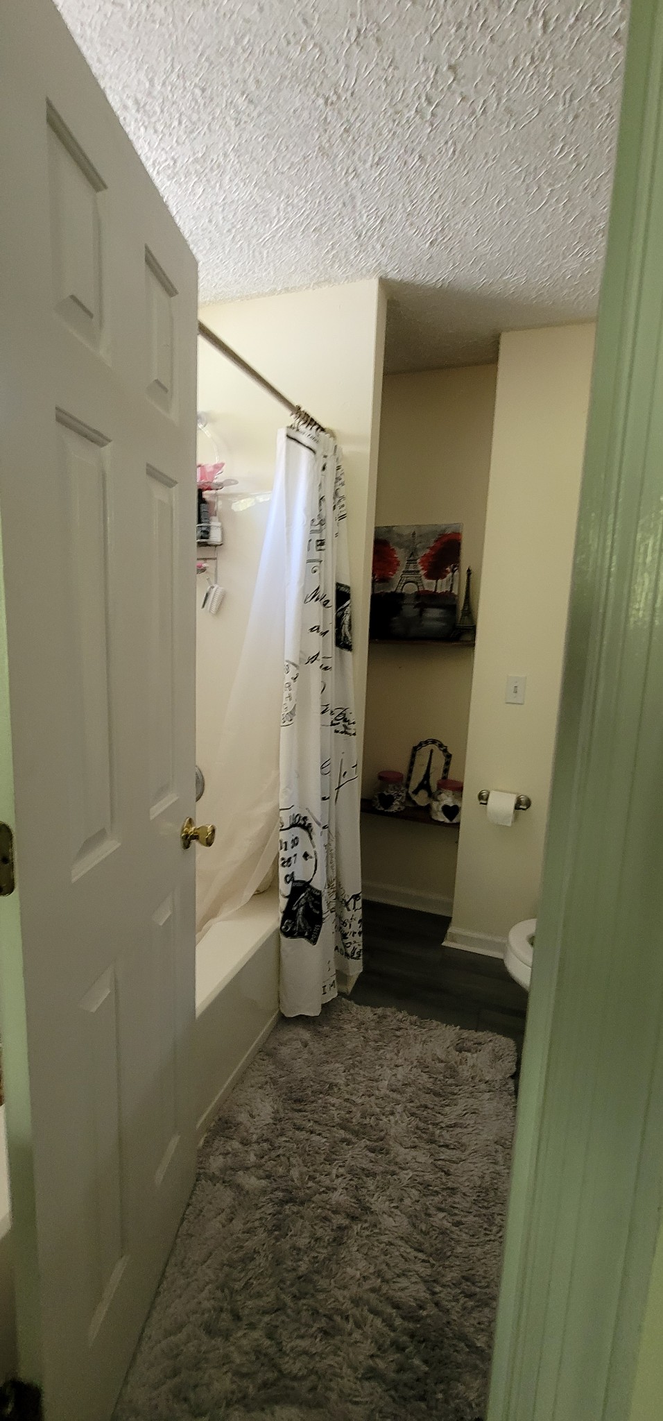 648 Ransom Village Way Antioch, TN 37013 - Photo 10 of 14 Gallery Image 10