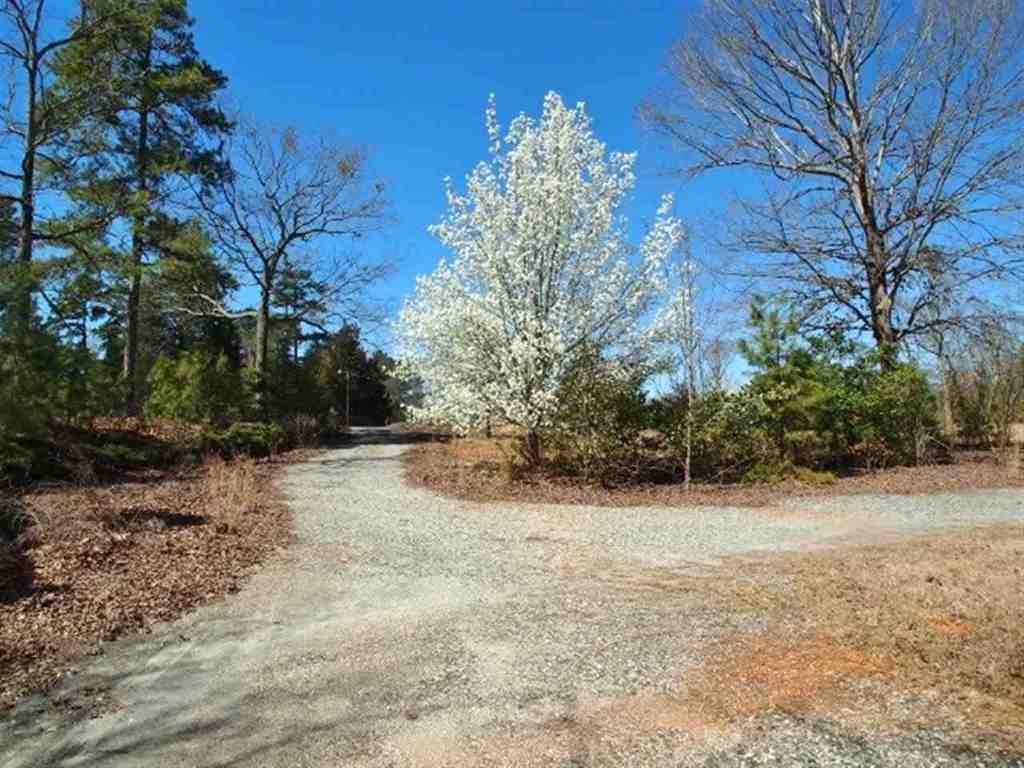 Lot C1 Asbury Park Road Anderson, SC 29625 - Photo 5 of 6 Gallery Image 5