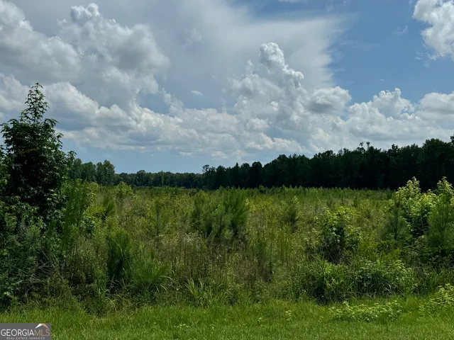 a view of lake with green space
