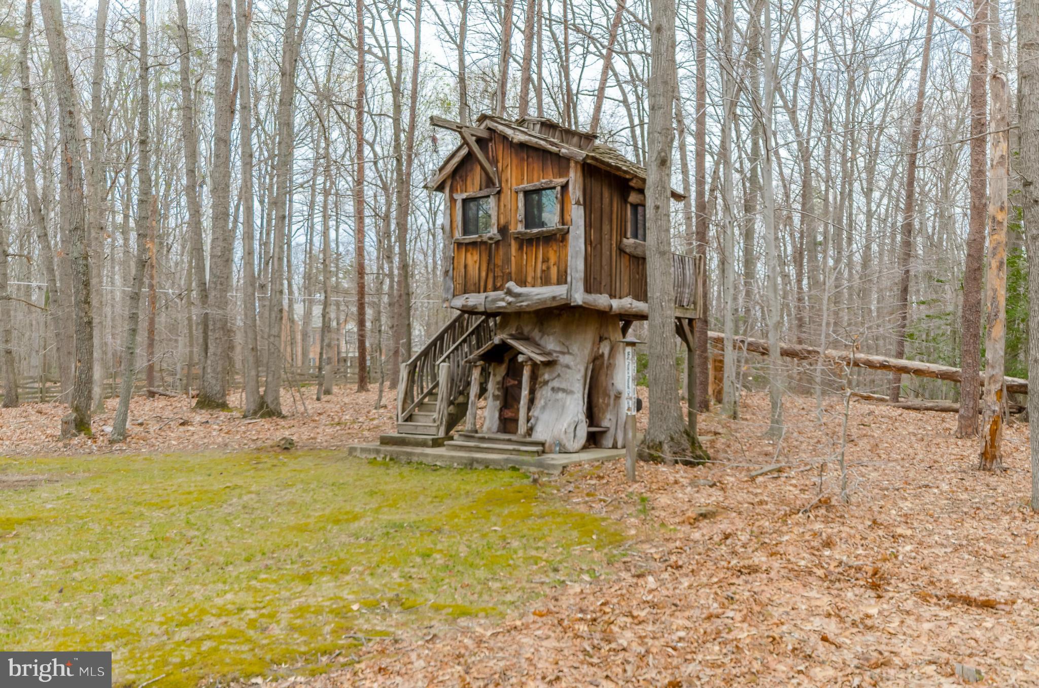 807 Clear Spring Road Great Falls, VA 22066 - Photo 3 of 27 Exterior (Rear)