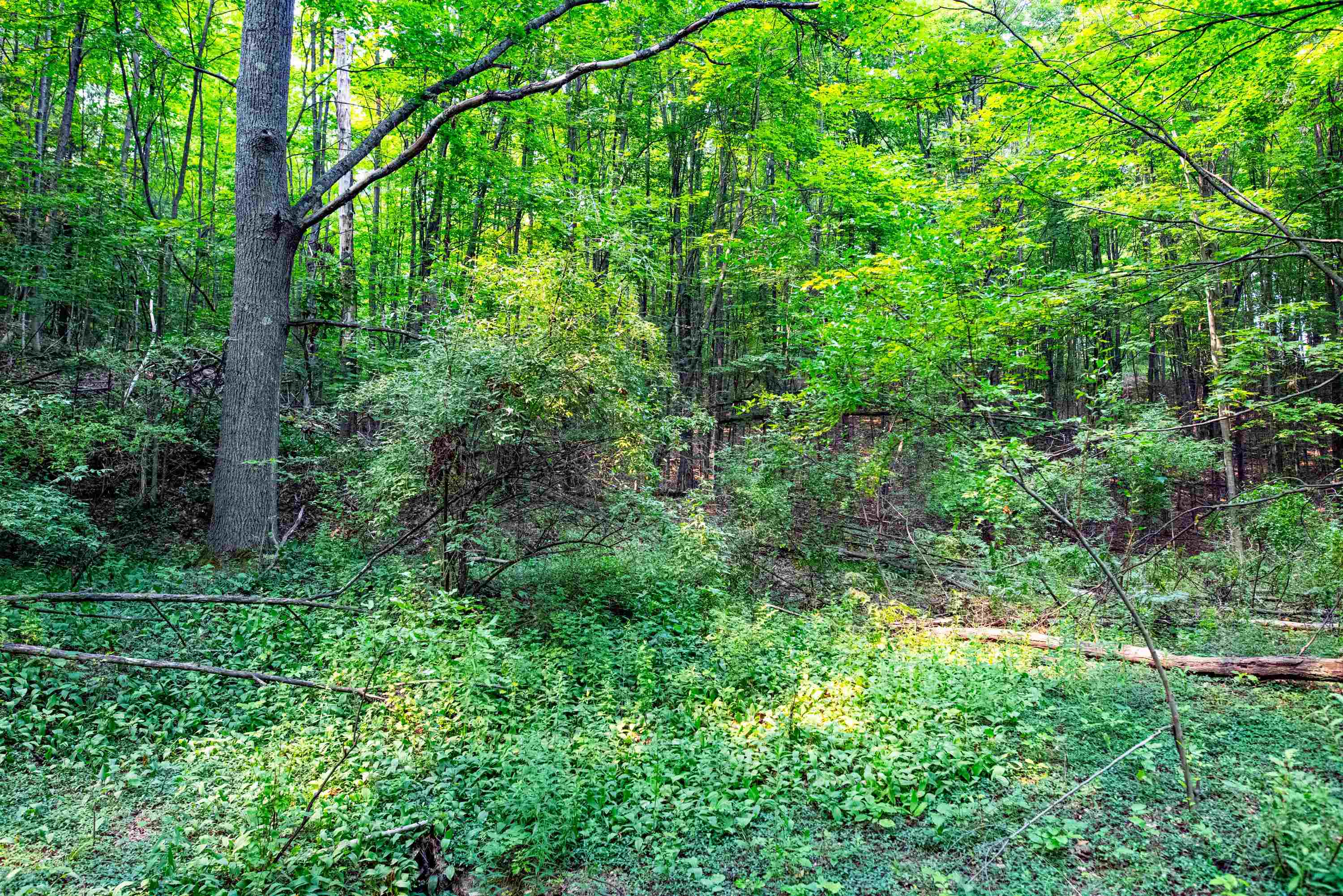 0 East Grandview Road Traverse City, MI 49684 - Photo 14 of 24
