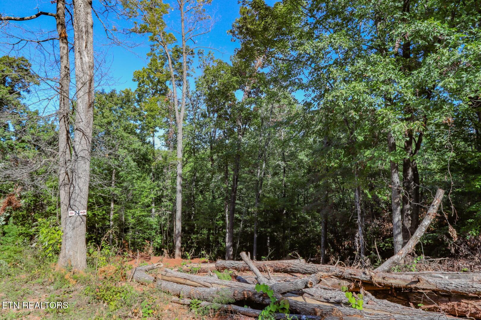 1282 Applewood Road Newport, TN 37821 - Photo 14 of 19 15